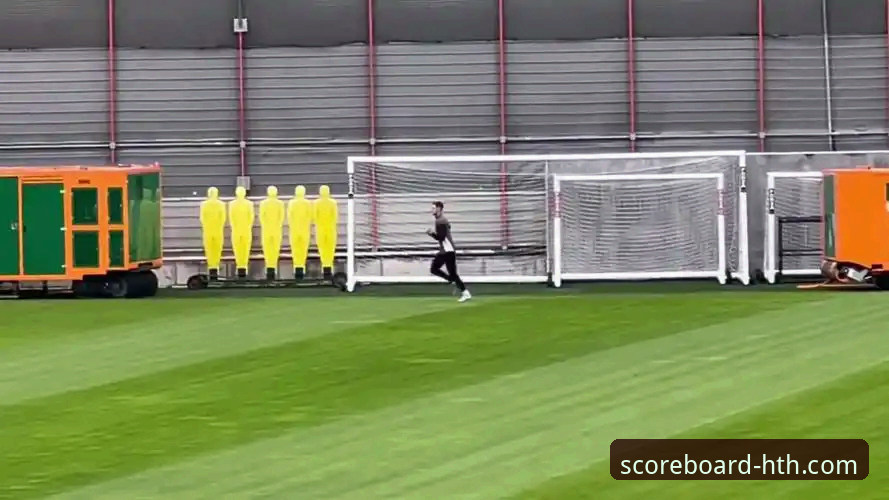 HTH华体会体育iOS版下载安装与深度体验详解